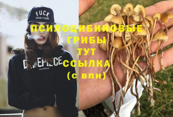 a pvp Заводоуковск