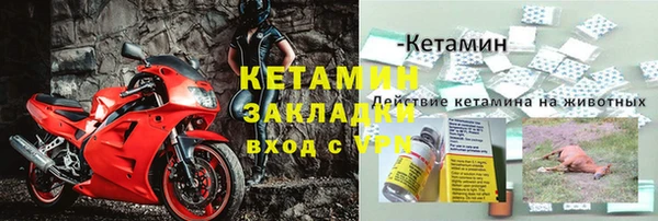 PSILOCYBIN Заволжье