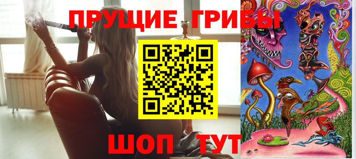 Псилоцибиновые грибы мухоморы Кандалакша