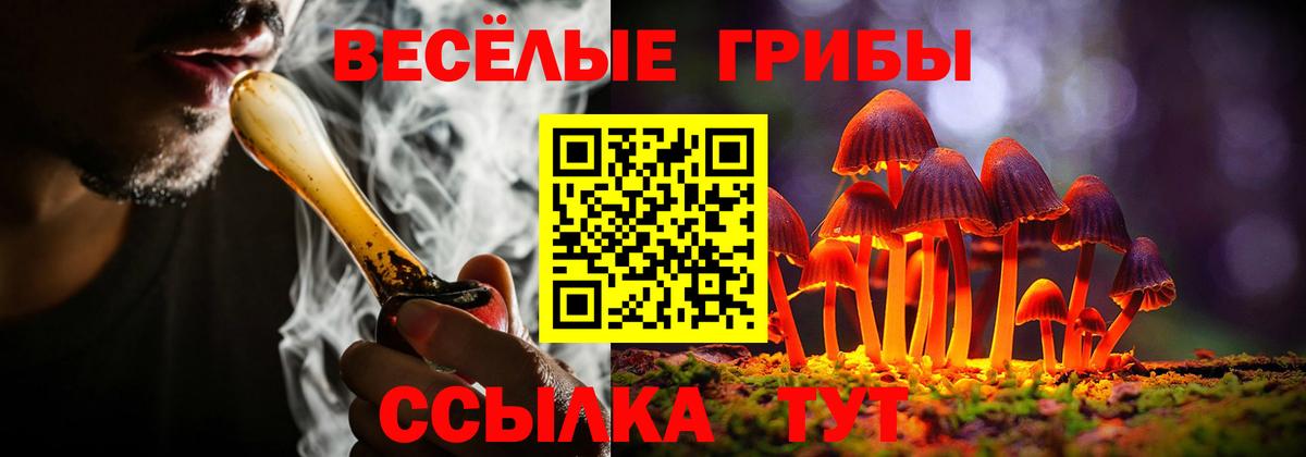 Галлюциногенные грибы ЛСД  Вход с VPN  магазин  наркотиков  Галлюциногенные грибы ЛСД  Кандалакша 